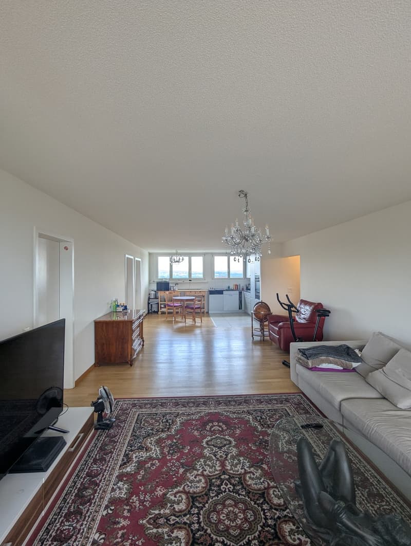 4 1/2 Zimmer-Wohnung (3)