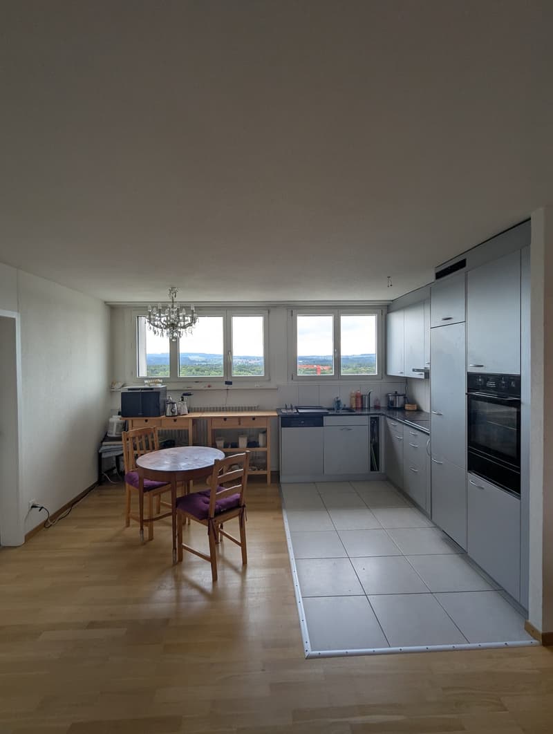 4 1/2 Zimmer-Wohnung (4)