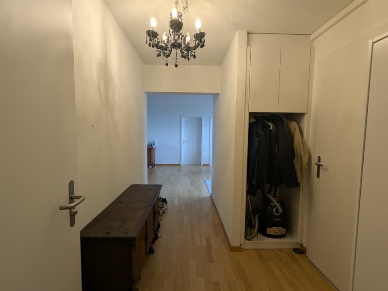4 1/2 Zimmer-Wohnung (7)