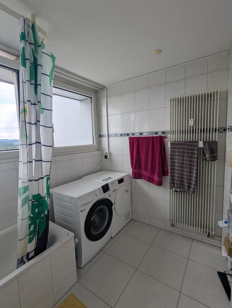 4 1/2 Zimmer-Wohnung (9)