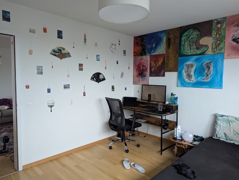 4 1/2 Zimmer-Wohnung (10)