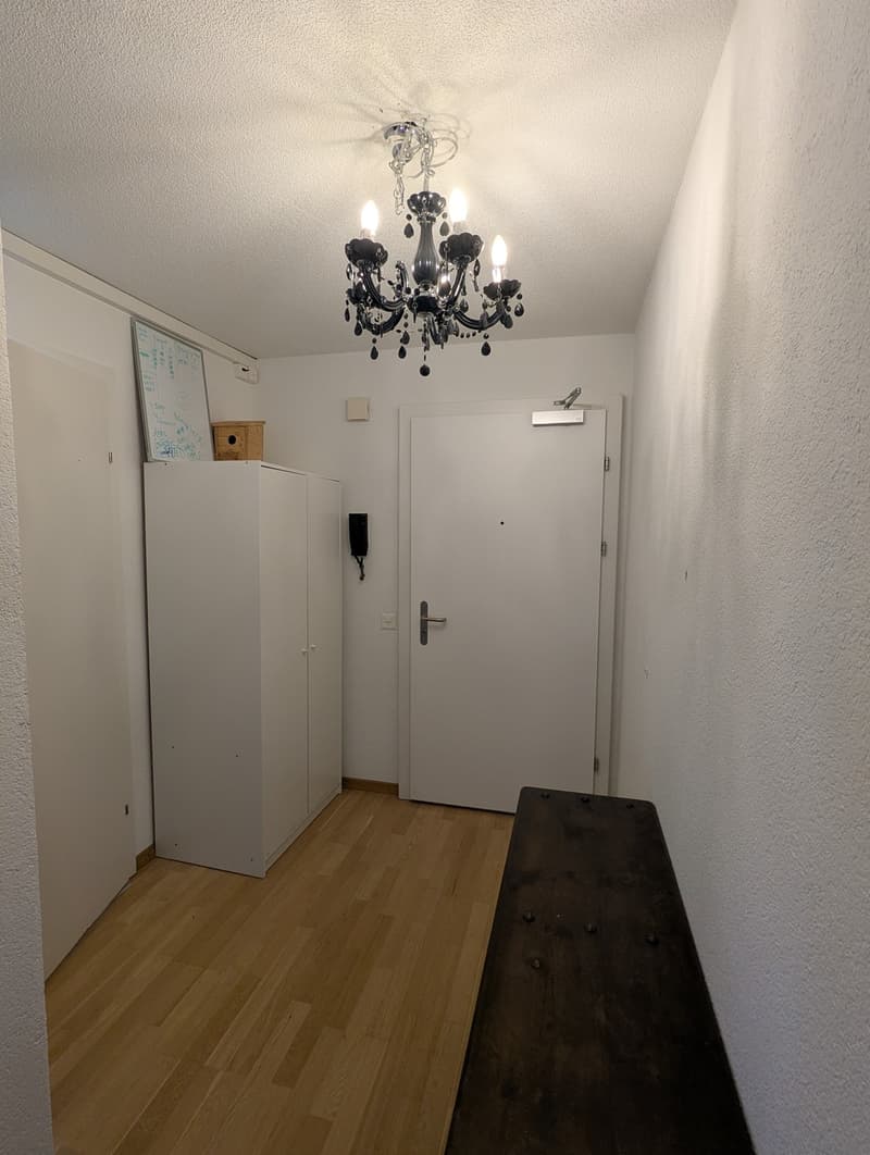 4 1/2 Zimmer-Wohnung (6)