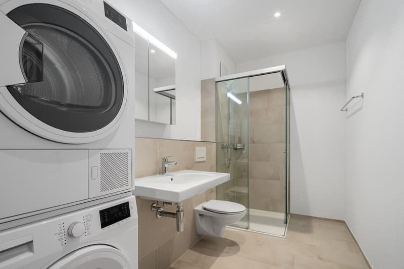 3 ½ Zimmer-Wohnung, 5646 Abtwil (4)