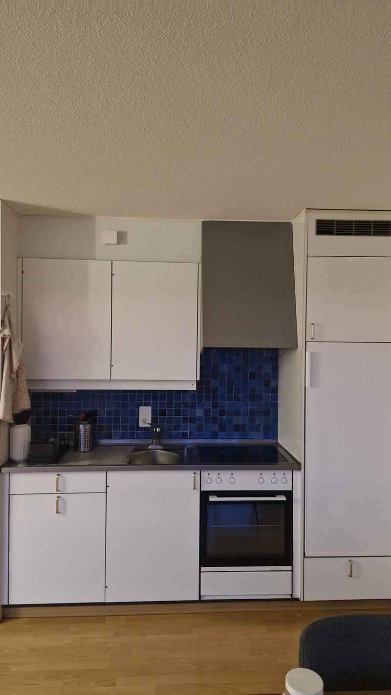 Nachmieter für charmante 1.5 Zi Wohnung gesucht (3)