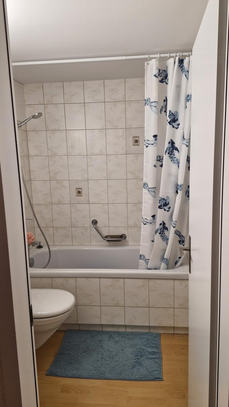 Nachmieter für charmante 1.5 Zi Wohnung gesucht (4)