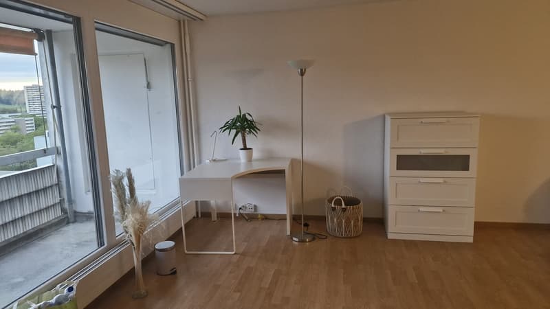 Nachmieter für charmante 1.5 Zi Wohnung gesucht (5)