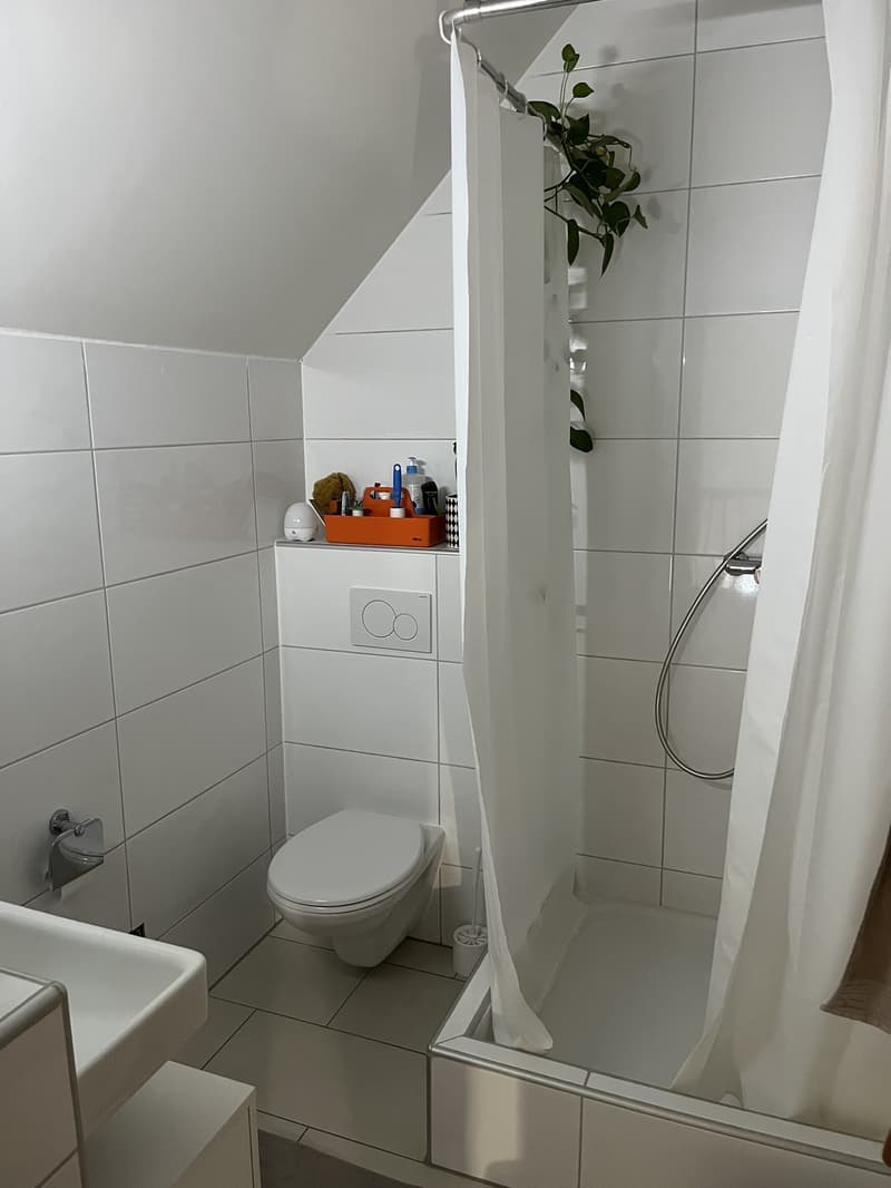 Charmante 2.5-Zimmer Maisonettewohnung (7)