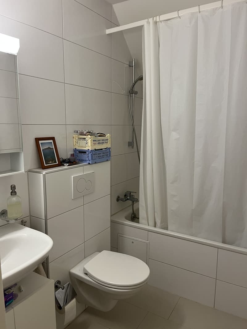 Charmante 2.5-Zimmer Maisonettewohnung (6)