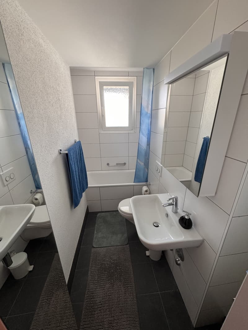 Bright and cozy 2.5-room apartment on the 4th floor - Güterstrasse (11)