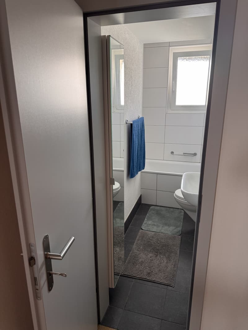 Bright and cozy 2.5-room apartment on the 4th floor - Güterstrasse (10)