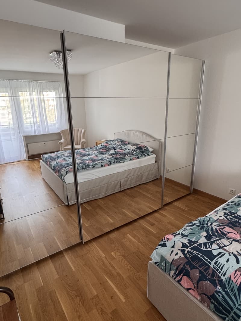 Bright and cozy 2.5-room apartment on the 4th floor - Güterstrasse (4)