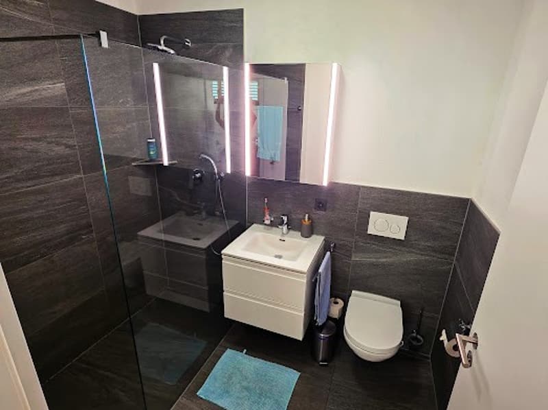 2 ½ Zimmer-Wohnung, 3904 Naters (4)