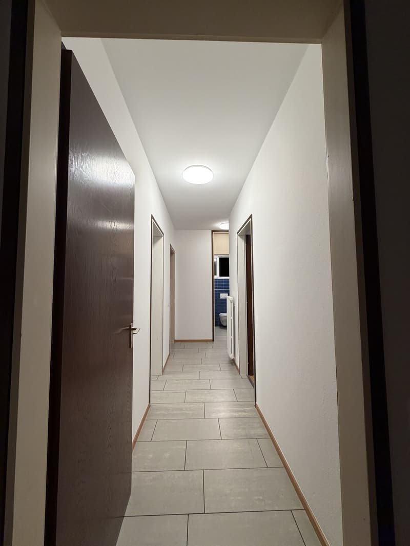 Stanza in appartamento condiviso Lugano (8)