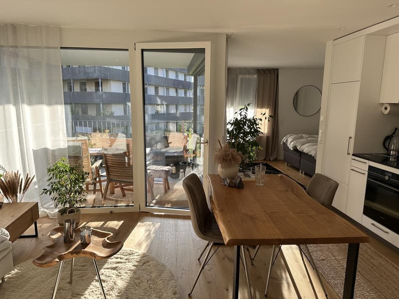 Suche Nachmieter/in per 01.12.2026 (Wohnung + Garagenplatz) (2)