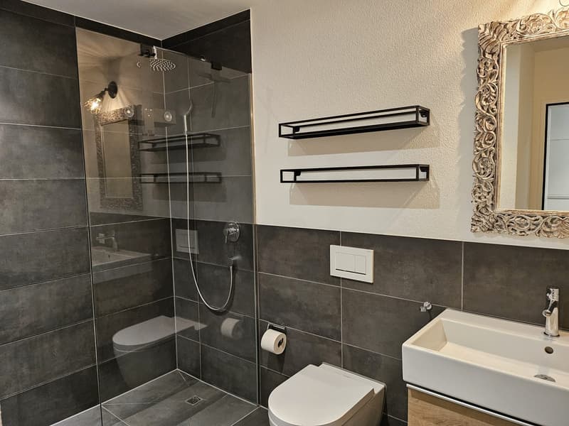 4.5 Zimmer in Uerkheim AG (10)