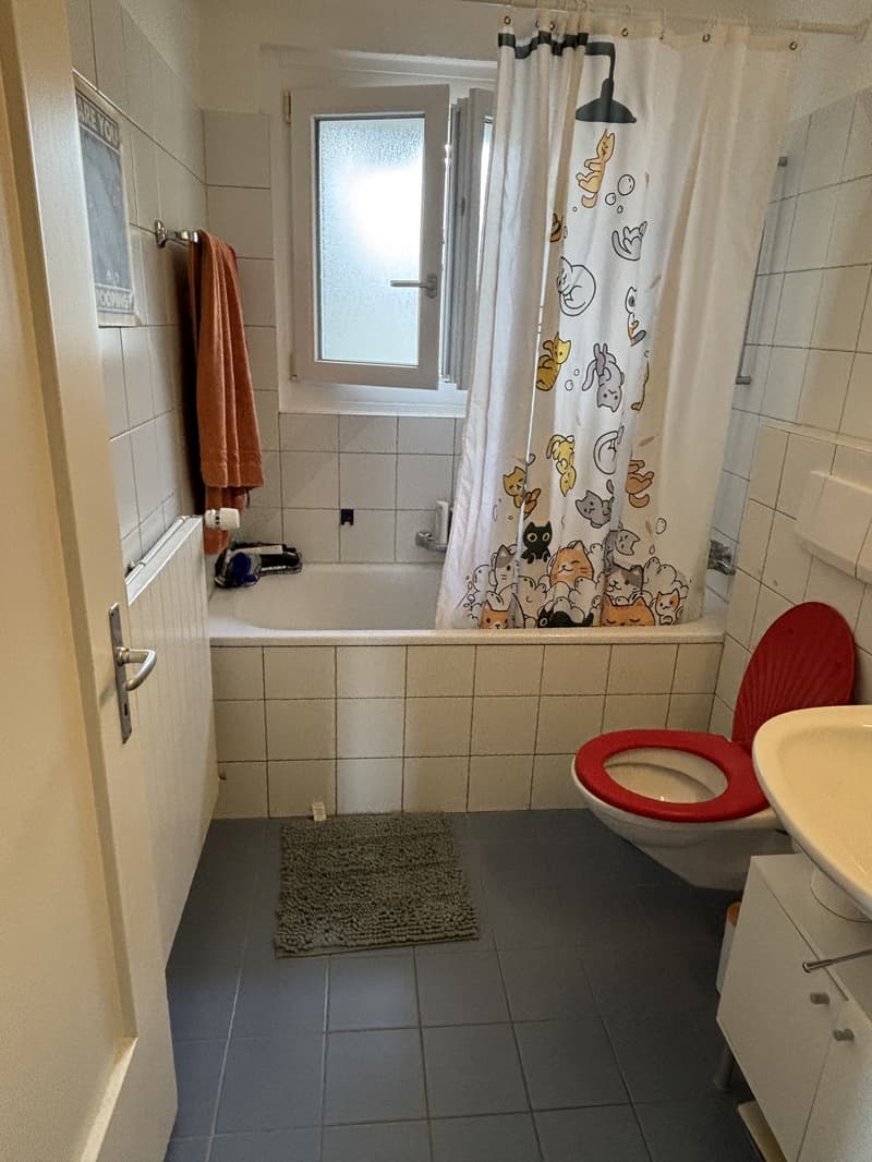 Appartement lumineux de 3,5 pièces, proche de la gare (12)