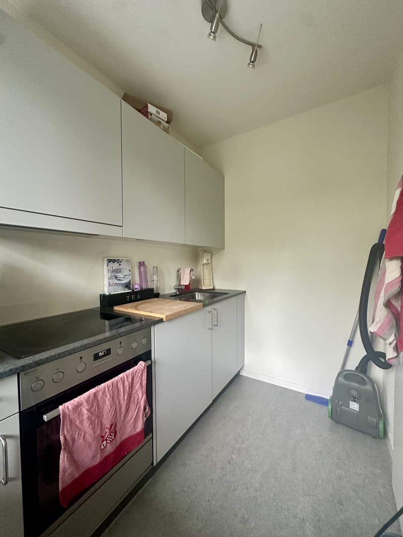 Schöne Single Wohnung im Ostring (4)