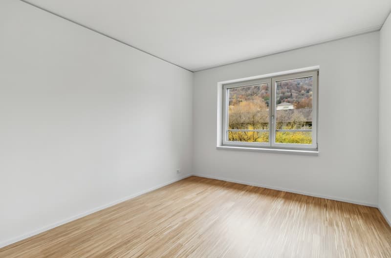 Bright, modern 2.5-room apartment with balcony and Uetliberg views Zurich Triemli (2)