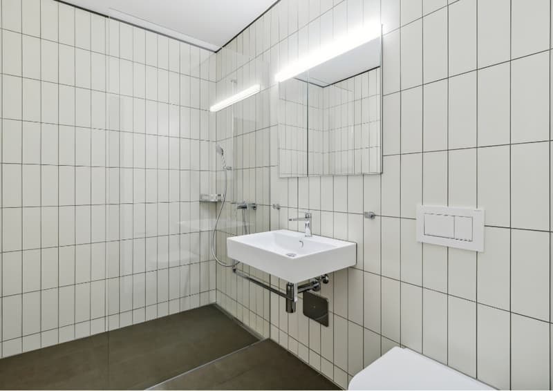 Bright, modern 2.5-room apartment with balcony and Uetliberg views Zurich Triemli (3)