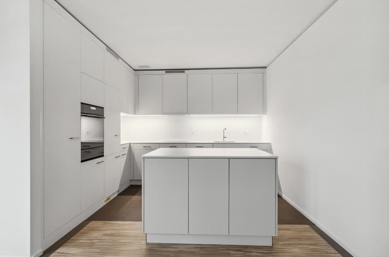 Bright, modern 2.5-room apartment with balcony and Uetliberg views Zurich Triemli (1)