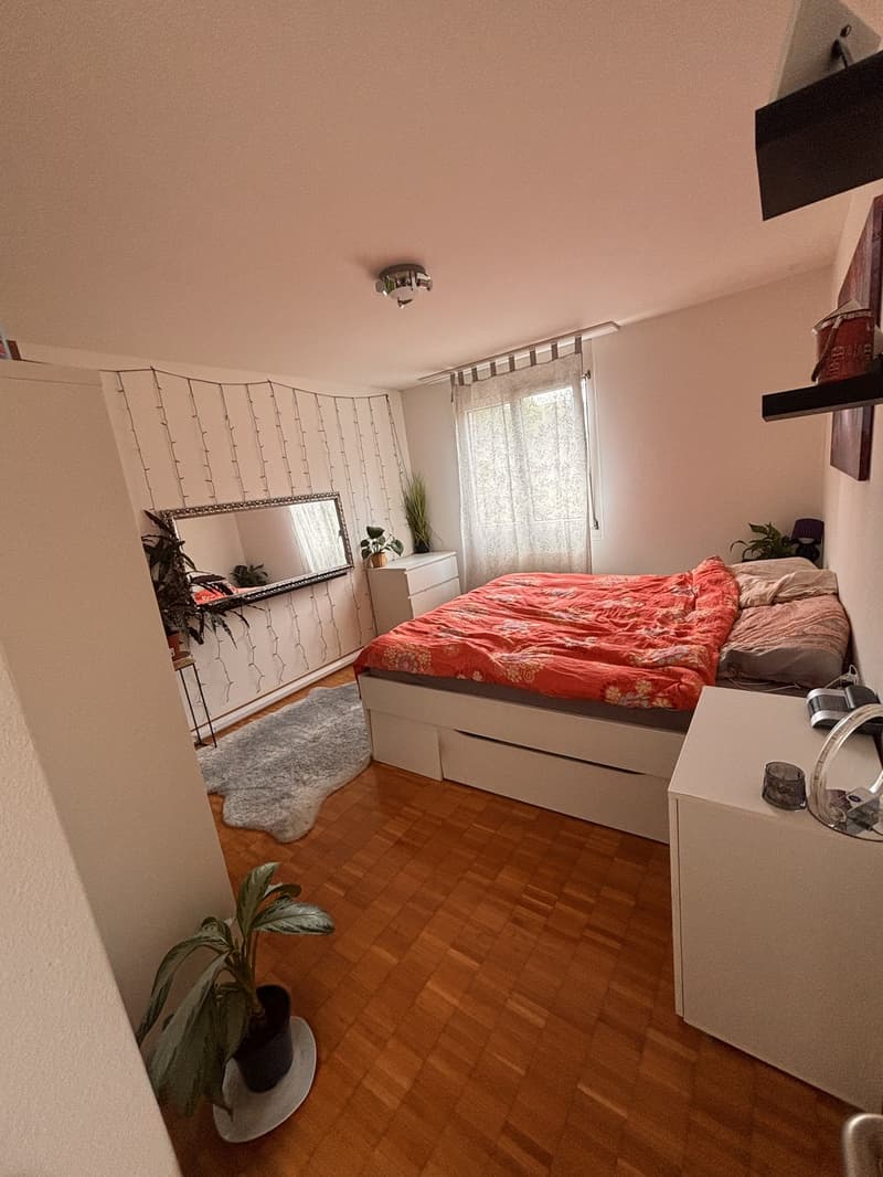 nachmietergesucht per sofort oder ab dem 1.11.26 (4)