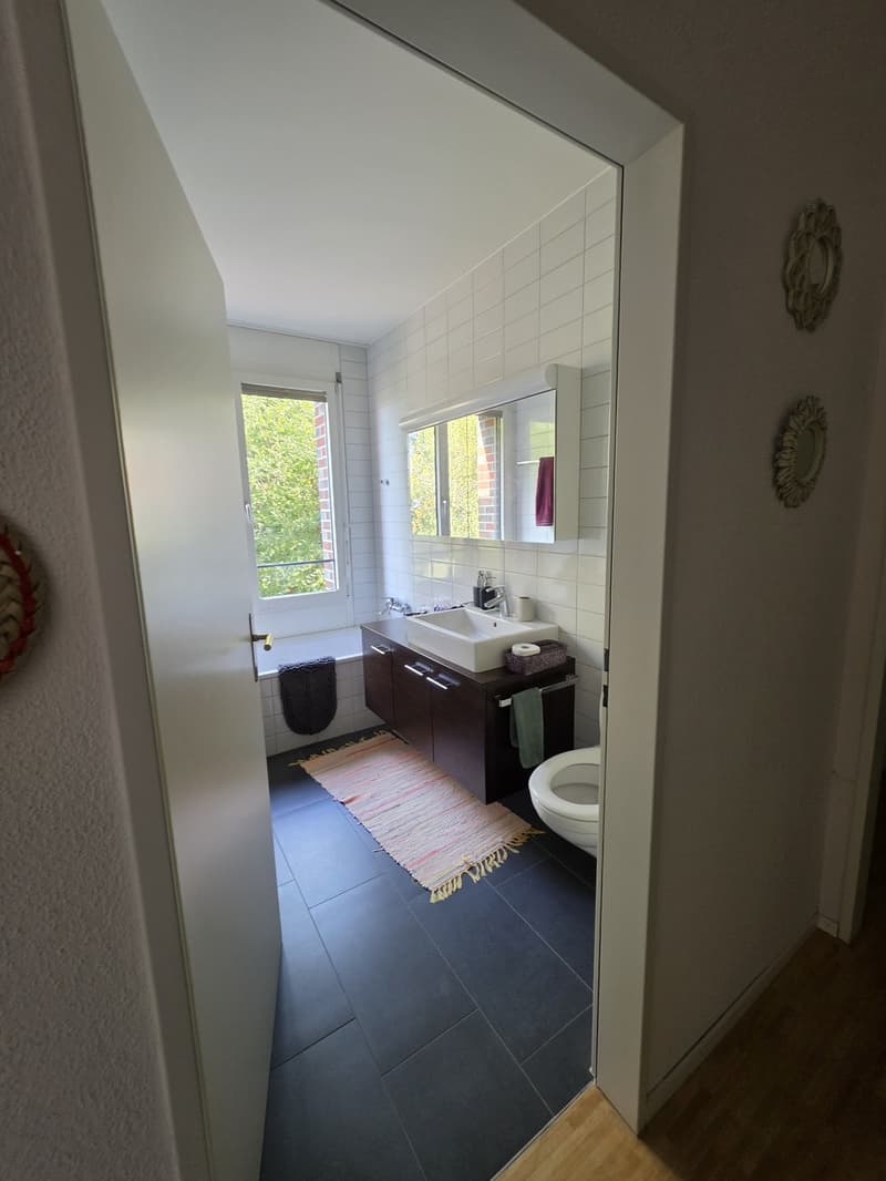 4 1/2 Whg mit Aussicht in St. Gallen (3)
