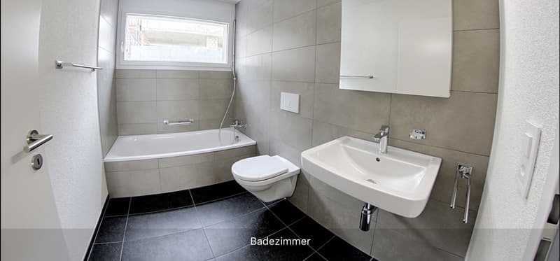 4.5 Zimmer Wohnung mit wunderschöner See- und Bergsicht (9)