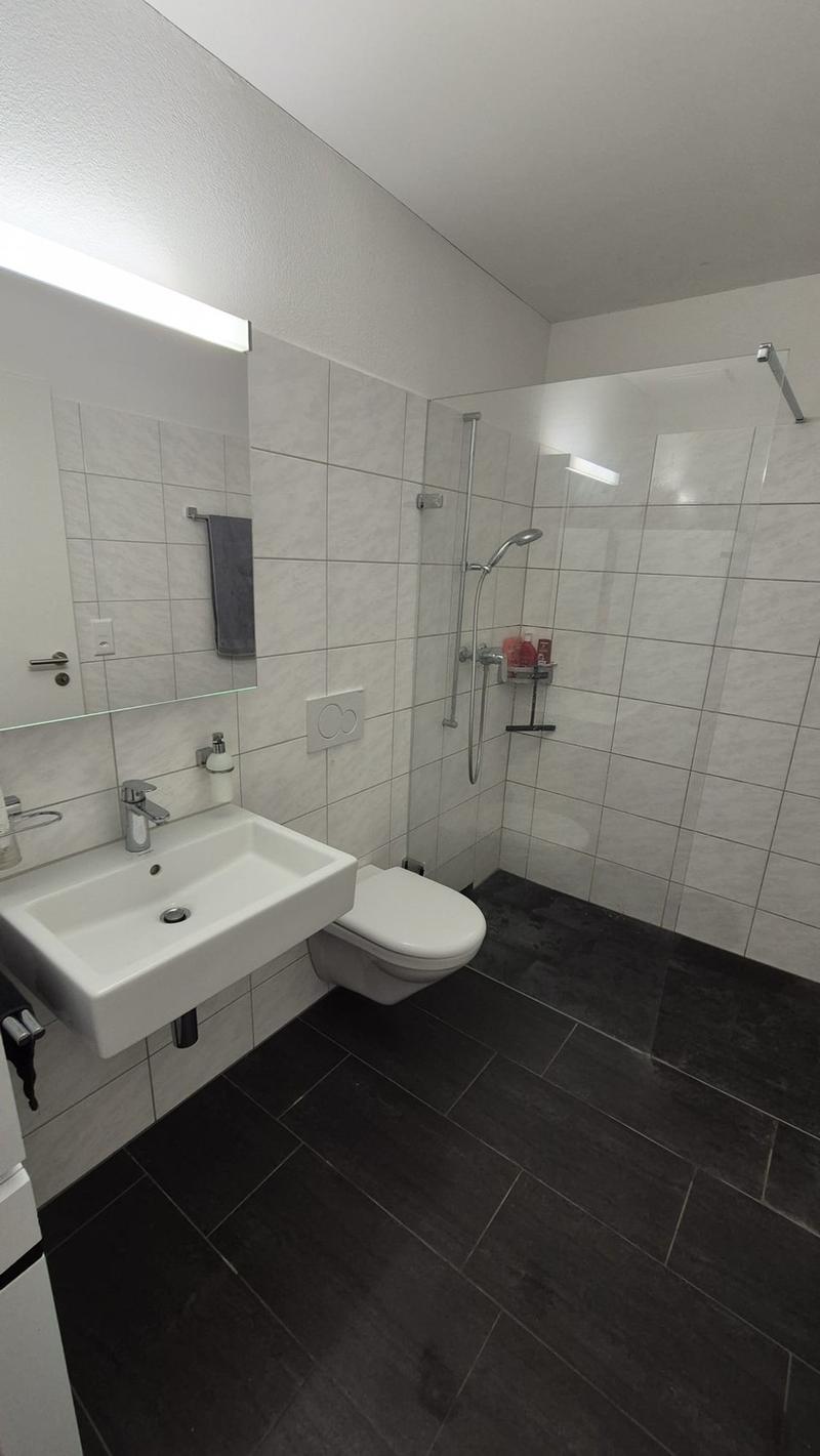 Nachmieter gesucht per 01.12.2026 : Grosse 4.5-Zi-Wohnung (105 m²) mit Riesen-Garten & Tiefgaragenplatz inkl.! (8)