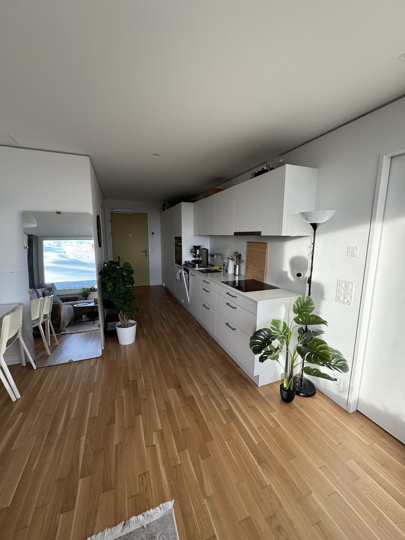 Traumhafte 2.5-Zimmer-Wohnung im 11. Stock mit direktem Rheinfallblick (4)