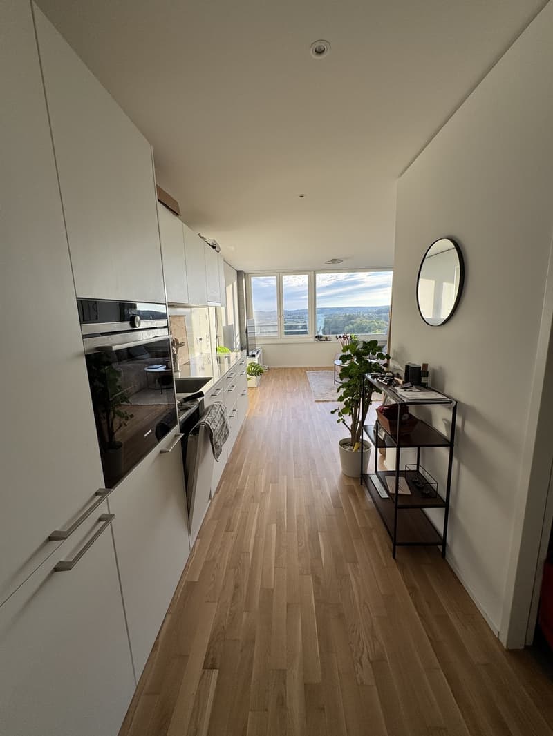 Traumhafte 2.5-Zimmer-Wohnung im 11. Stock mit direktem Rheinfallblick (5)
