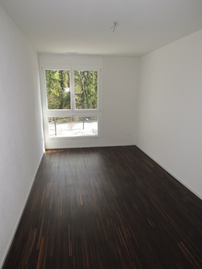 Nachmieter gesucht: schöne 4.5-Zimmer-Wohnung mit Gartensitzplatz ab 01.12.2026 (7)