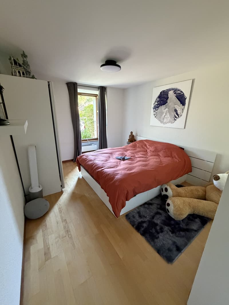 Appartement 3 pièces, 1228 Plan-les-Ouates (6)