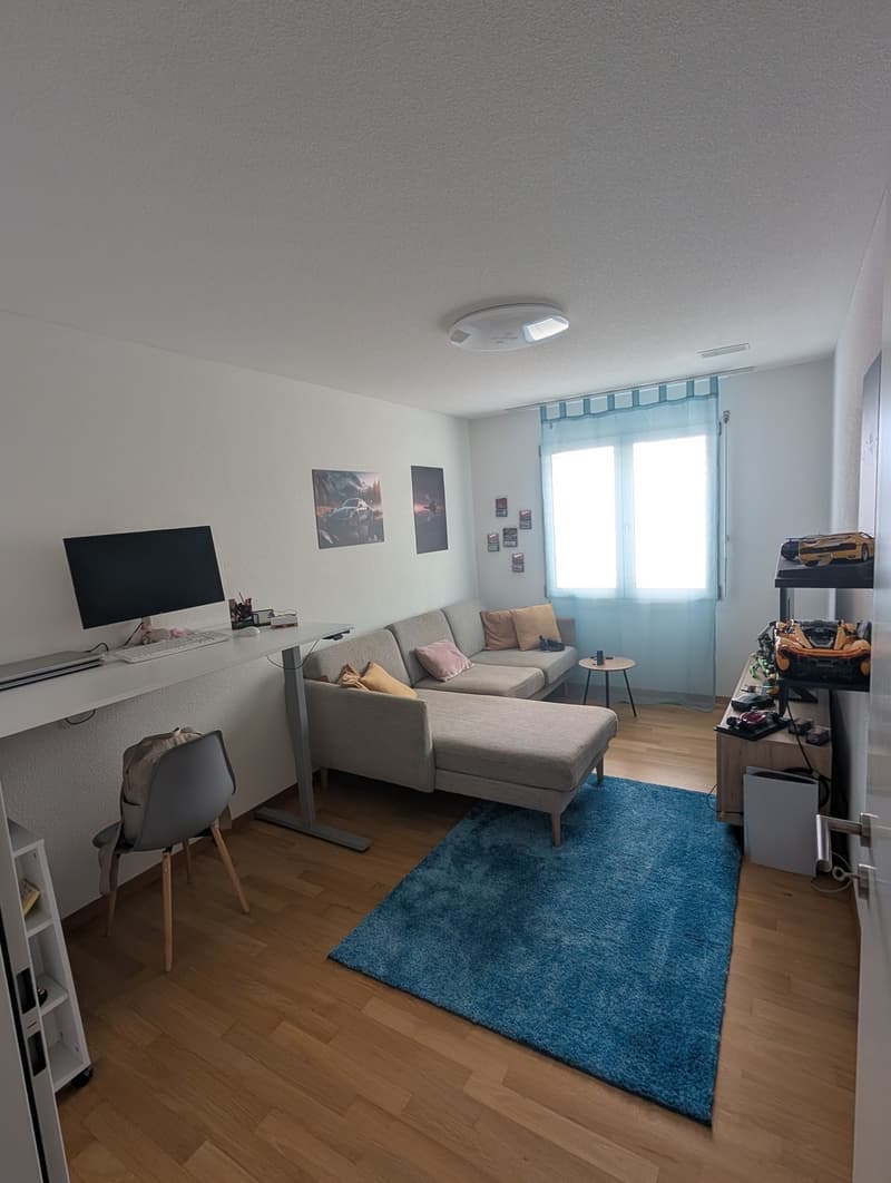 Traumhafte 4.5-Zimmer-Gartenwohnung in Oftringen Inkl. Tiefgaragenplatz & eigenem Waschturm Mietpreis inkl. 1x TG-Parkplatz (8)