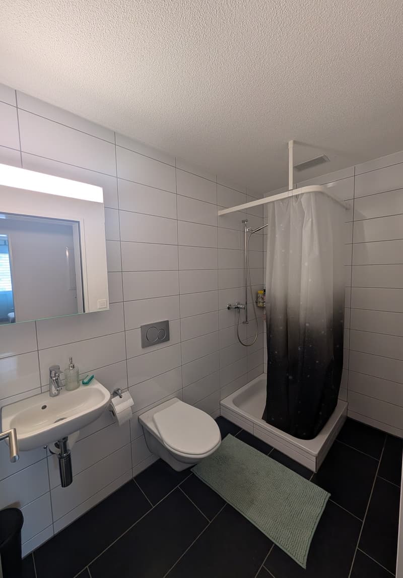 Traumhafte 4.5-Zimmer-Gartenwohnung in Oftringen Inkl. Tiefgaragenplatz & eigenem Waschturm Mietpreis inkl. 1x TG-Parkplatz (4)