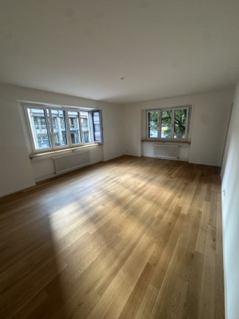 3.5 Apartment in Manesseplatz (2)