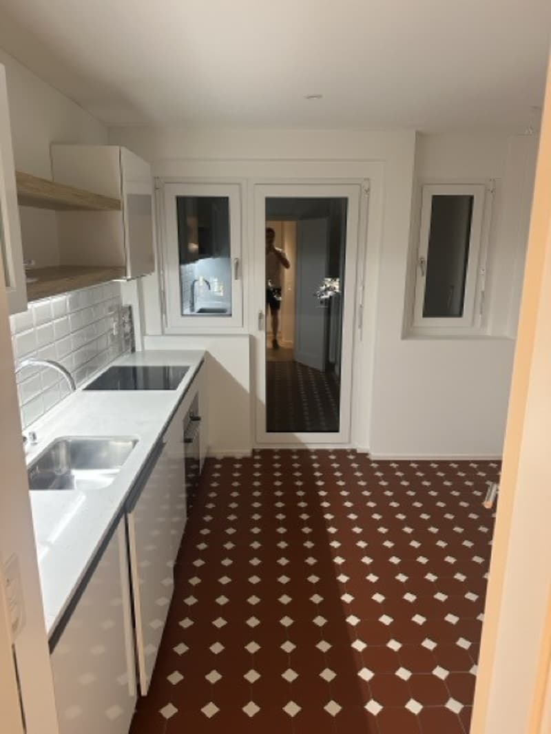 3.5 Apartment in Manesseplatz (4)