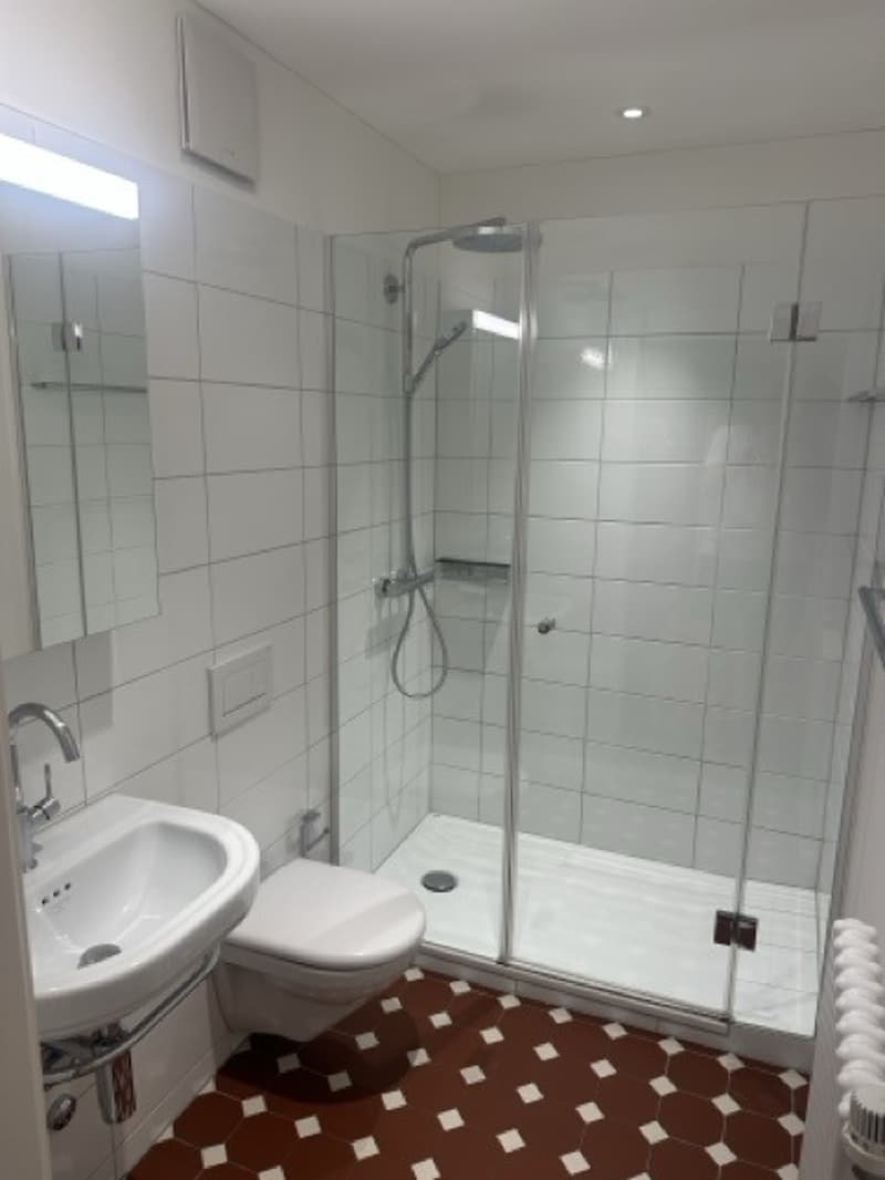 3.5 Apartment in Manesseplatz (3)