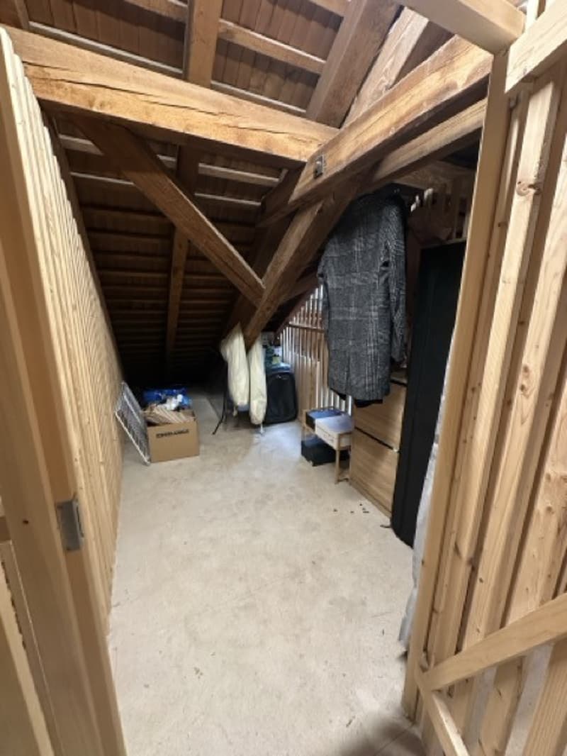 3.5 Apartment in Manesseplatz (8)