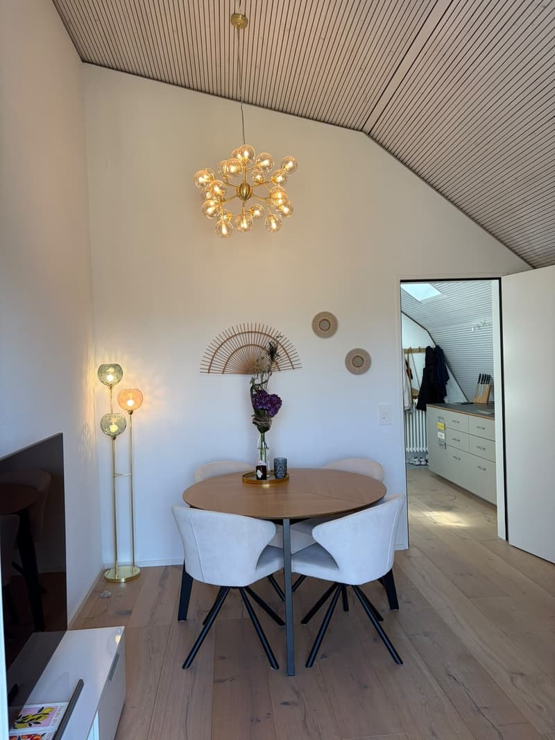 Helle, moderne Dachwohnung mit Balkon im Kreis 7 Zürich Hottingen (4)
