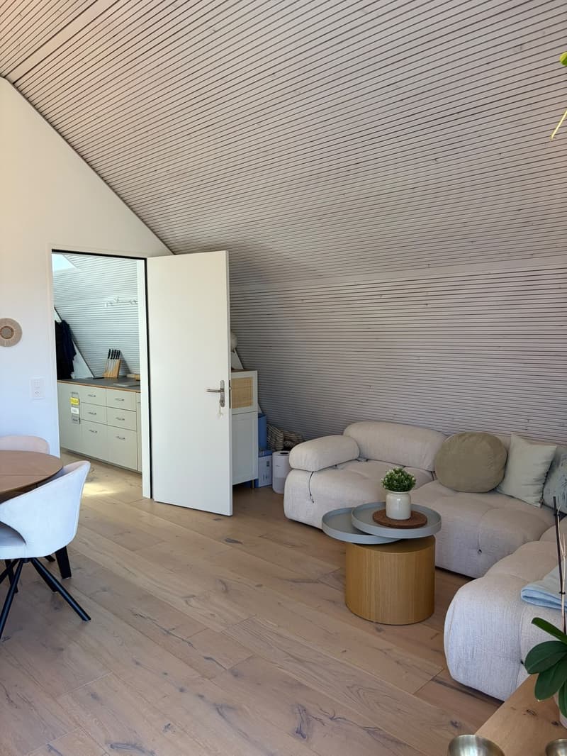 Helle, moderne Dachwohnung mit Balkon im Kreis 7 Zürich Hottingen (3)