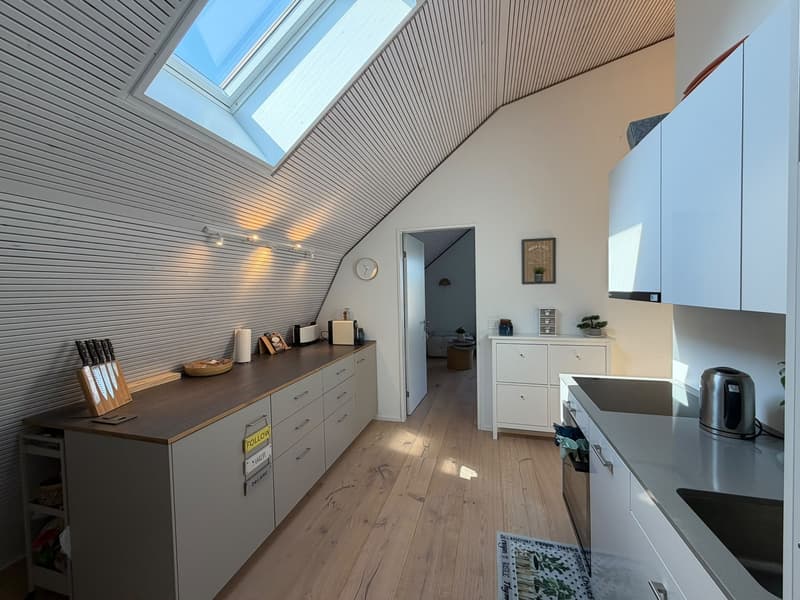 Helle, moderne Dachwohnung mit Balkon im Kreis 7 Zürich Hottingen (9)