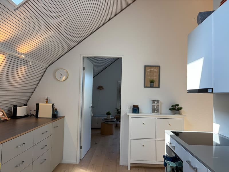 Helle, moderne Dachwohnung mit Balkon im Kreis 7 Zürich Hottingen (10)
