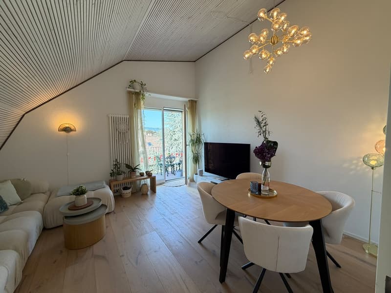 Helle, moderne Dachwohnung mit Balkon im Kreis 7 Zürich Hottingen (2)