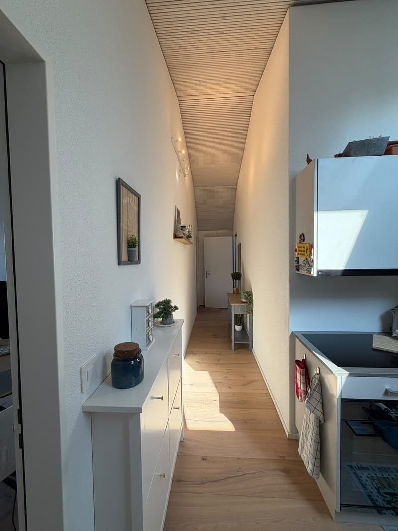 Helle, moderne Dachwohnung mit Balkon im Kreis 7 Zürich Hottingen (5)