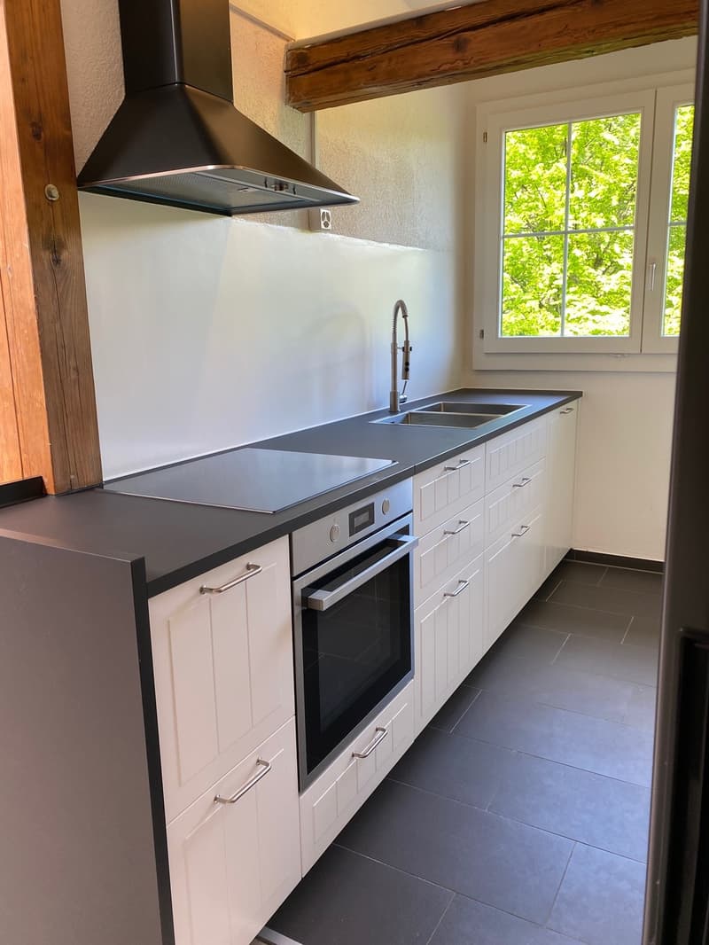 DG Wohnung (2)