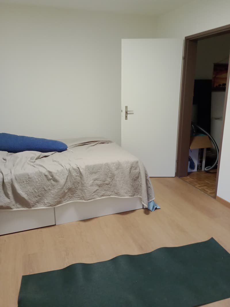 2 1/2 room full appartment with garden (2)