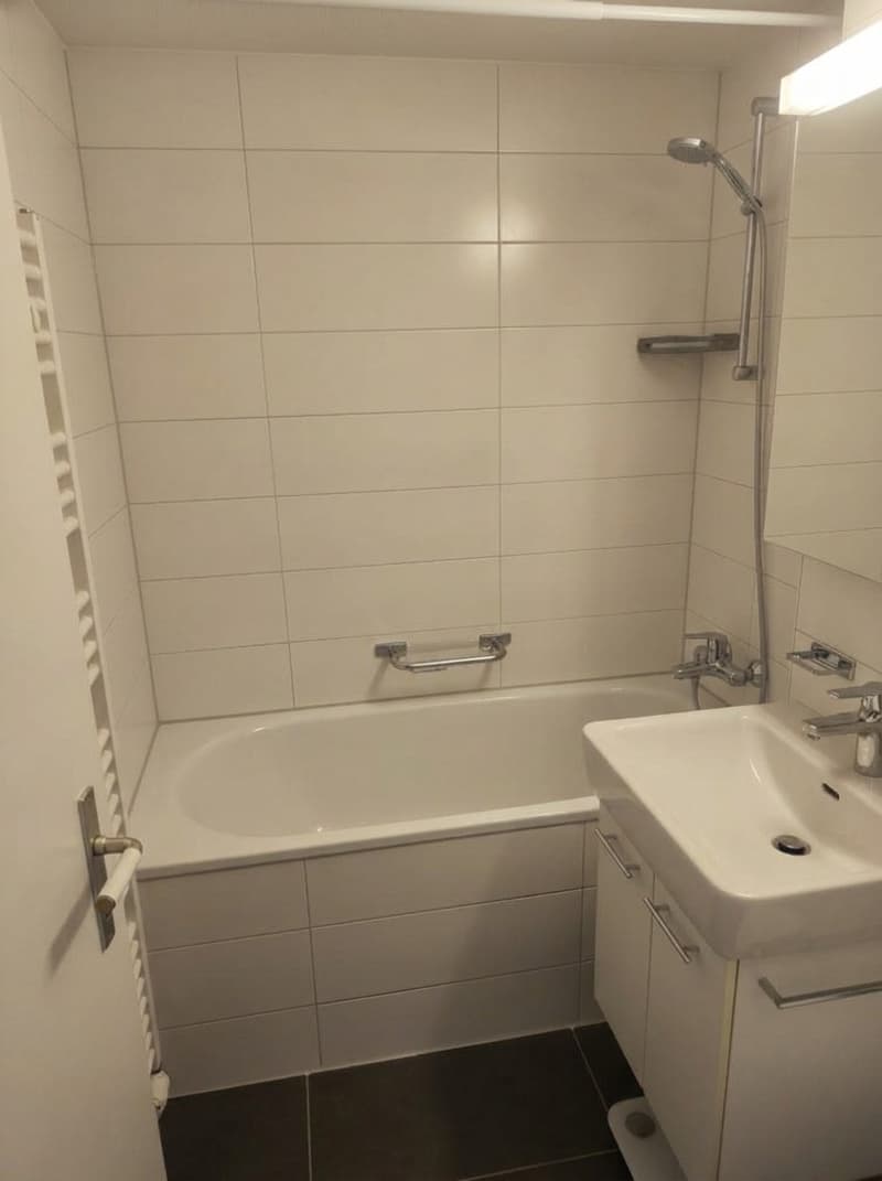 Nachmieter gesucht: 1½-Zimmerwohnung, 47 m², 8052 Zürich, ab 1. Dezember 2026Nachmieter gesucht: 1½-Zimmerwohnung, 47 m², 8052 Zürich, ab 1. Dezember 2026 (3)