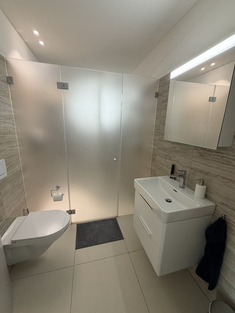 Moderne und zentral gelegene 3.5 Zimmer-Wohnung in Uster (3)