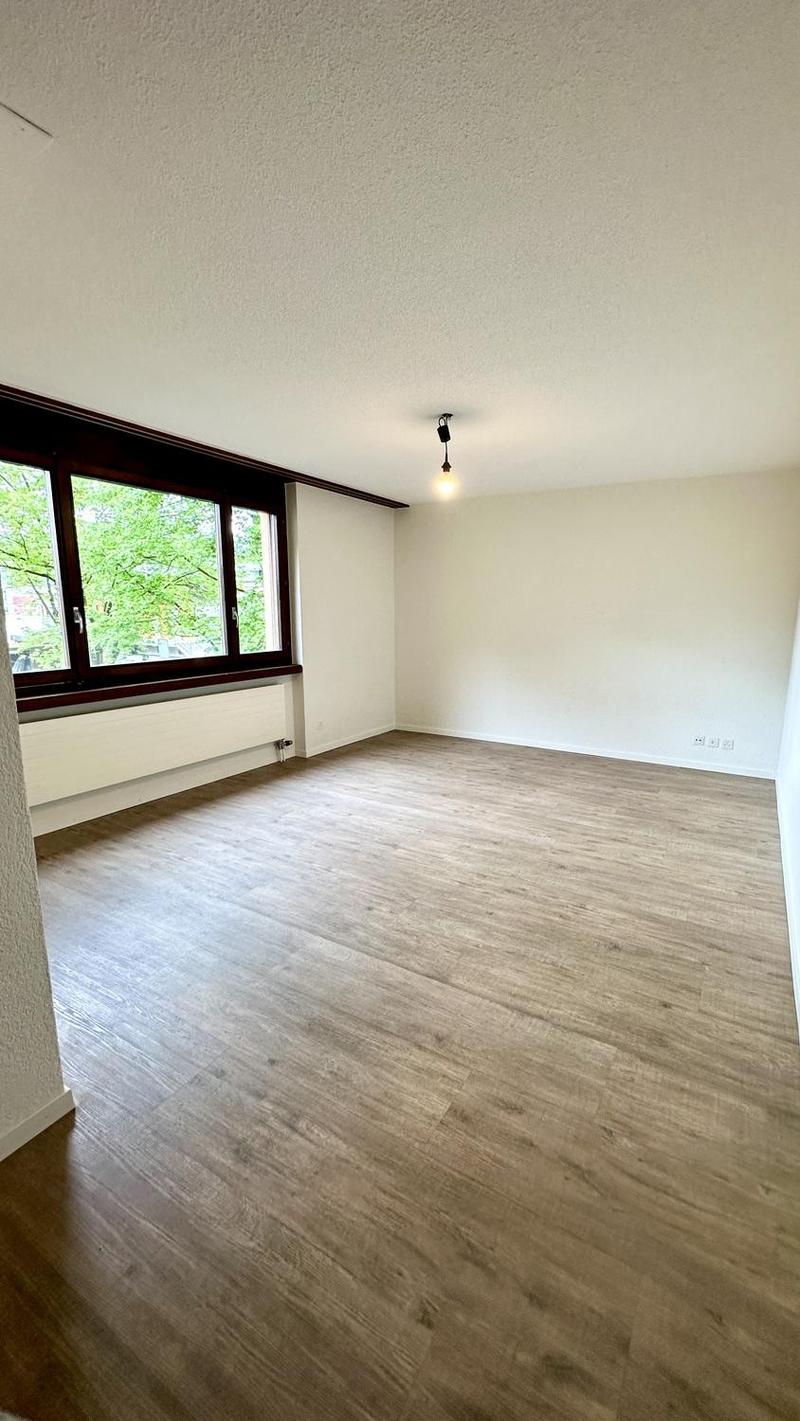 Charmantes 1-Zimmer-Studio in Wettingen (4)