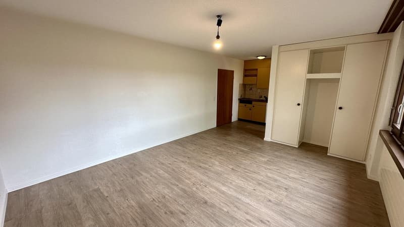 Charmantes 1-Zimmer-Studio in Wettingen (3)